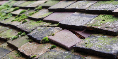Tredegar Park roof repair costs